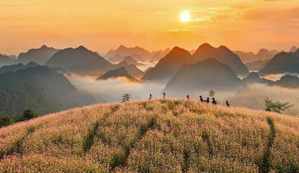 Truly Vietnam Travel
