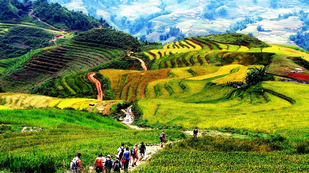 Truly Vietnam Travel